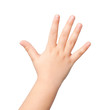 isolated child hand or palm