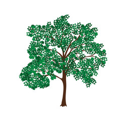 Wall Mural - icon tree with lush green foliage