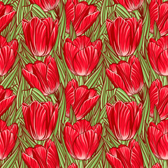 Wall Mural - Seamless pattern with tulips