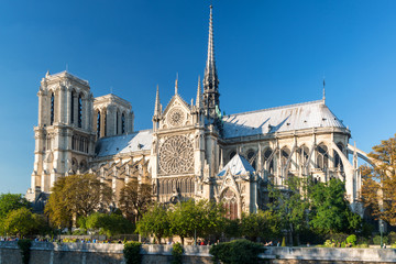 Wall Mural - Famous Cathedral of Notre Dame de Paris in summer, France