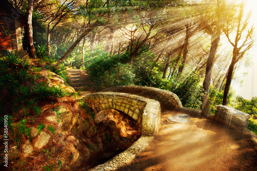 Foto-Klemmrollo - Mystical Park. Old Trees and Ancient Stone Bridge. Pathway (von Subbotina Anna)