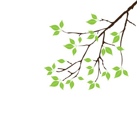 vector tree branch with green leaves