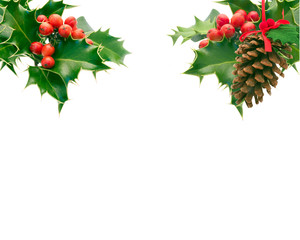 Canvas Print - Holly and Pine