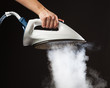 © nikkytok - hand holding steam generator iron