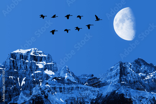 Obraz księżyc  ksiezyc-i-ptaki
