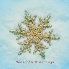 Wall Mural - seasons greetings