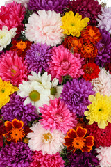 Beautiful bouquet of chrysanthemums close-up