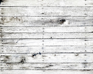 Wall Mural - white wooden texture