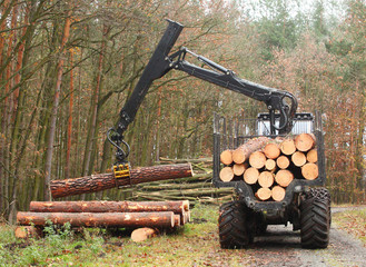 Wall Mural - The lumberjack truck loaded with a timber.