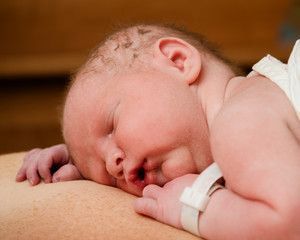 Portrait of infant resting on mother moments after birth