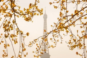 Wall Mural - Eiffel Tower in France