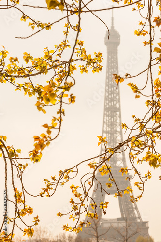 Fototapeta na wymiar Eiffel Tower in France