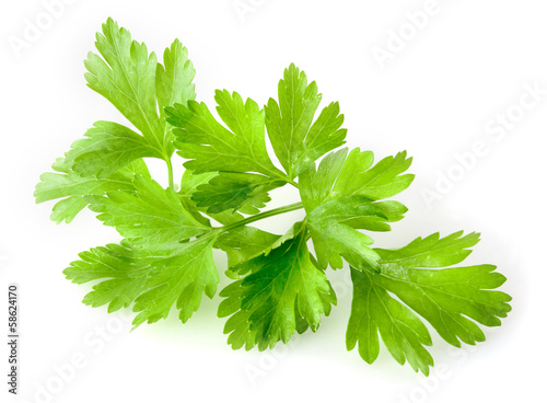 Fotomural Parsley isolated on white background