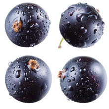 Black Currant With Drops On White