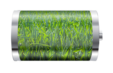 Wall Mural - wheat field battery