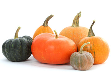 Poster - Pumpkins varieties