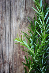 fresh rosemary on wooden table