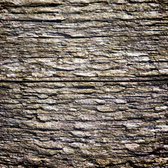 Old timber texture