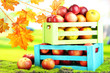 Juicy apples in wooden boxes on grass on natural background