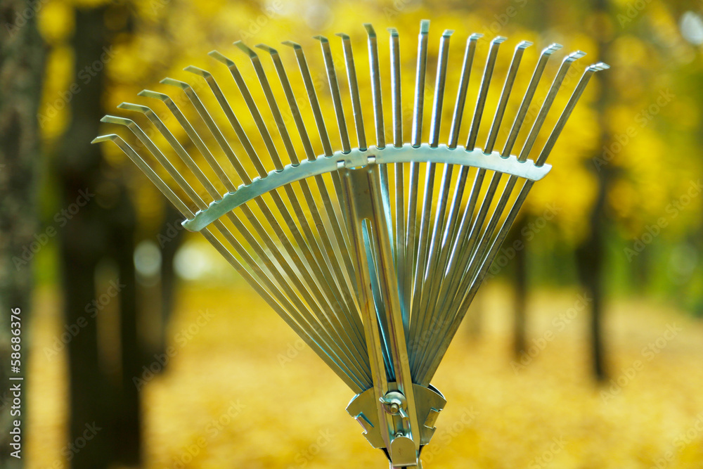 Cleaning of autumn leaves in park