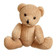 Toy Bear Isolated