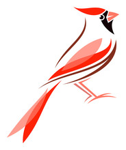 Virginian Cardinal