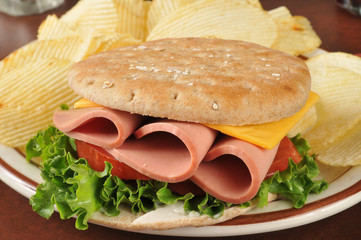 Wall Mural - Baloney sandwich