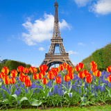 Fototapeta Paryż - Eiffel Tower at spring, France