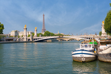 Canvas Print - View of Sena in Paris