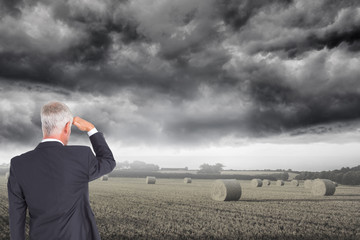 Poster - Composite image of rear view of mature businessman looking away