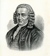 Canvas Print - Carl Linnaeus, Swedish botanist, physician, and zoologist