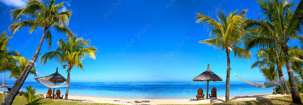 Tropical beach panorama with chairs and umbrellas - obrazy, fototapety, plakaty 