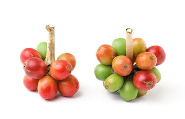 Canvas Print - coffee beans isolated on white background