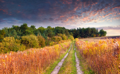 Wall Mural - Colorful autumn landscape with a riad