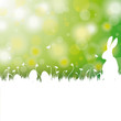 Easter Card Background White Grass Rabbit