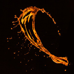 Wall Mural - orange water splash isolated on black