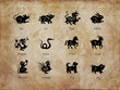 Chinese zodiac, vintage background