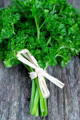 Canvas Print - tied fresh parsley