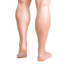 human legs