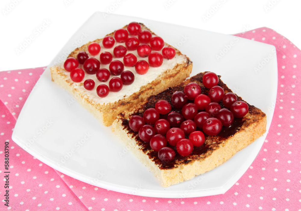 Delicious toast with cranberries on plate close-up