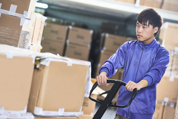 Wall Mural - chinese warehouse worker with forklift stacker