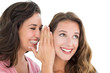 © lightwavemedia - Two cheerful young female friends gossiping