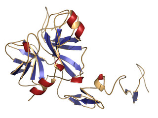 Sticker - Human activated protein C (APC, drotrecogin alfa)