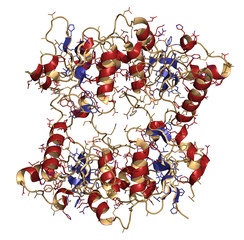 Poster - BRCA1 (BReast CAncer type 1 susceptibility, BRCT domain)