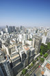 Sao Paulo Brazil Cityscape Skyline Vertical