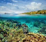 Fototapeta Do akwarium - Coral reef on the island of Menjangan. Indonesia