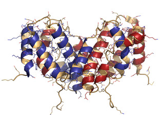 Wall Mural - Interferon gamma (IFNg) cytokine molecule, chemical structure