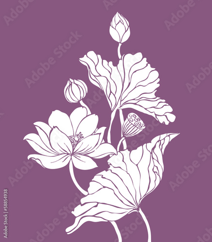 Obraz w ramie White contour lotus on purple background