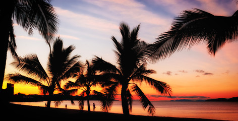 Wall Mural - Palms silhouettes on a tropical beach at sunset