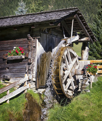 Wall Mural - old watermill